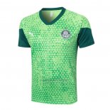 Camisola de Treinamento Palmeiras 2024-2025 Verde